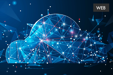 Development of a file sharing site by the masters of Studio Webmaster, professional website creation in Chisinau