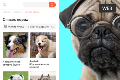 The development of the animal world website from a professional team from ✅ Studio Webmaster ✅, we carry out orders for the creation of websites of any complexity, please contact!