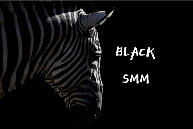 In this article the experts Studio Webmaster describe black methods of SMM promotion in social networks