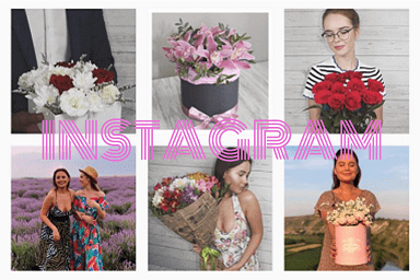 Studio Webmaster specialists give recommendations on the promotion of the account in Instagram. Detailed instructions for promotion of instagram account