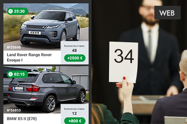 Creating an auction site in Moldova, Chisinau from Studio Webmaster, professionally, efficiently, quickly, and most importantly - inexpensively! Contact us right now!