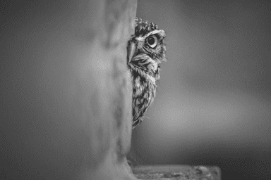 Povestim de ce nu apar anunţurile Google Adwords,⏩cum de identificat aceasta şi cum de corectat rapid inconsecvenţele