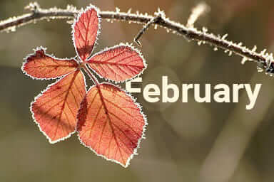 Mai mult de 100 teme pentru email-distribuire în februarie pentru fiecare zi. Excelent motiv informaţional — excelent Open Rate❗ Urmăriţi selecţia noastră