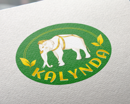 Exemple de logouri pentru firme realizate de noi