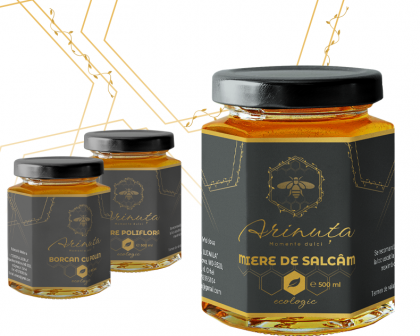 Этапы разработки макета этикетки