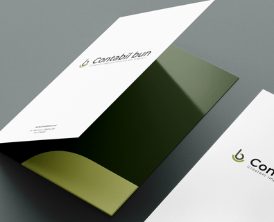 Development of corporate identity for Contabil Bun