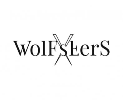 Dezvoltarea de logo design pentru compania Wolf Sters din Chișinău, Moldova