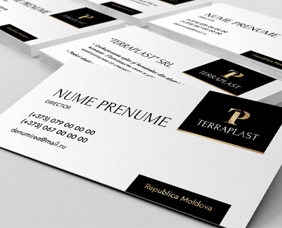 Development of logo and corporate identity elements for the company Terraplast