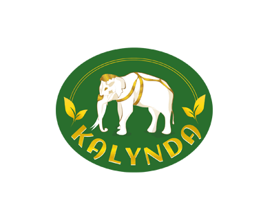 Development of a unique logo for the company Kalynda