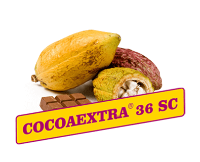 Dezvoltarea de etichete pentru compania Cocoaextra Dezvoltarea de etichete pentru compania Cocoaextra