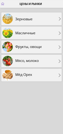 Перечень товаров в созданном мобильном приложении Sell Hoss