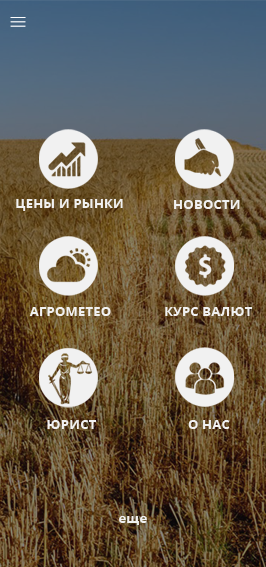 Functionality of the developed mobile application Sell Hoss to order