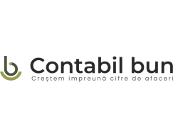 Contabil Bun Contabil Bun