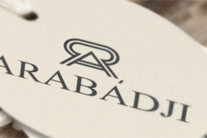 Заказать логотип в Кишиневе, создание профессионального логотипа фирмы на заказ от ✔️Studio Webmaster✔️ заказать и узнать стоимость разработки логотипа компании ☎️ +(373) 60-10-66-66