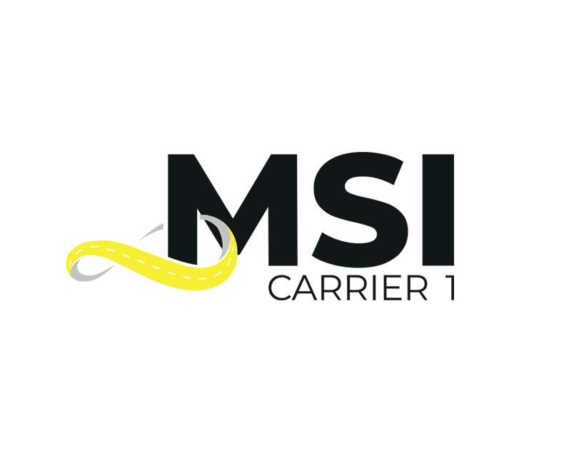 Development of a unique logo for MSI Carrier