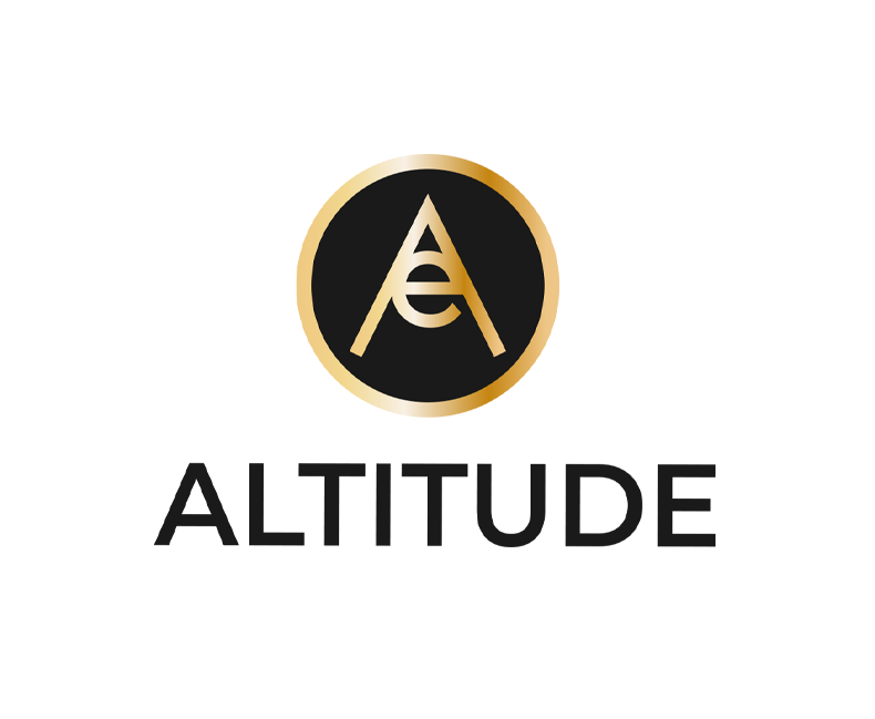 Dezvoltarea unui stil corporativ pentru web magazin Altitude