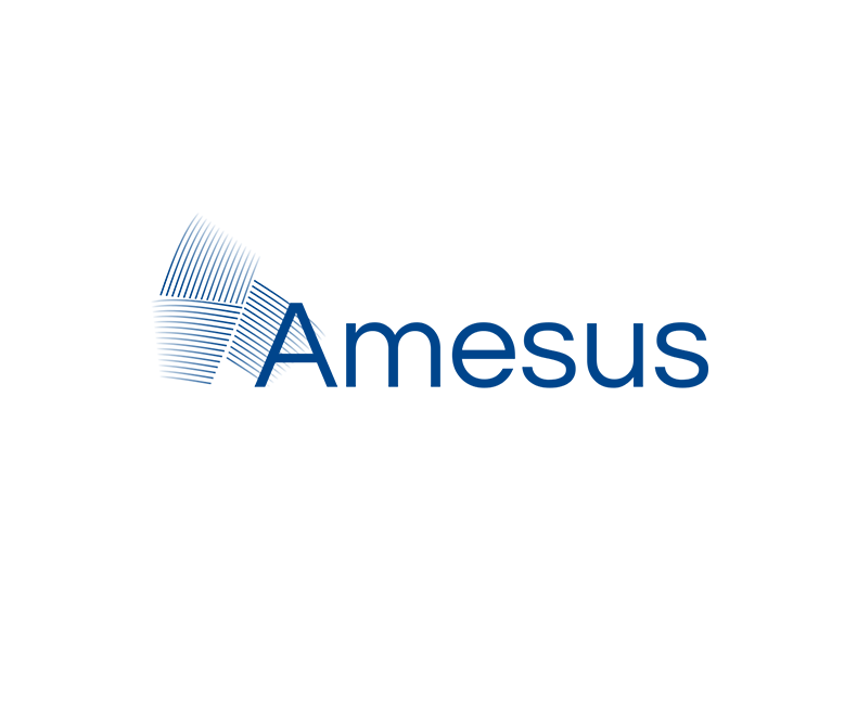 Разработка логотипа для Amesus