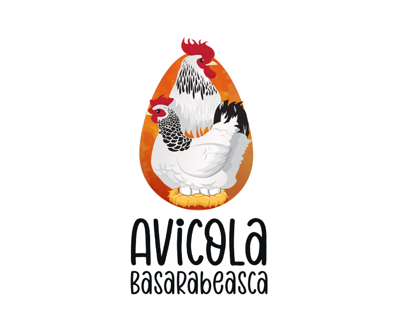 разработка фирменного стиля для avicola basarabeasca