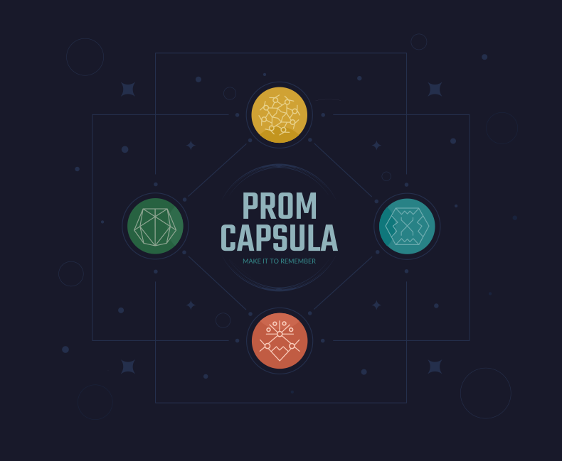 Elaborarea stilului de firma pentru Capsula