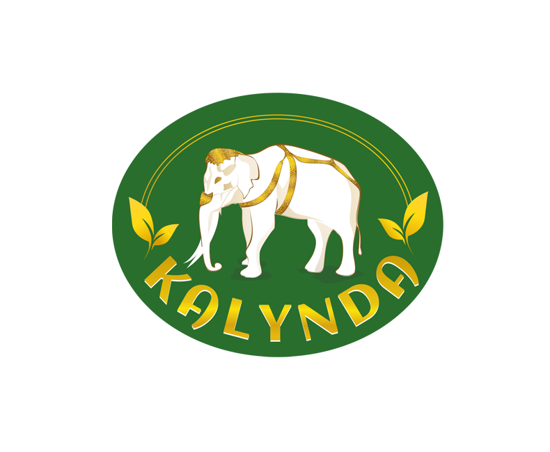 Development of a unique logo for the company Kalynda
