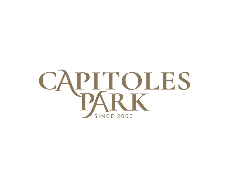 Разработка уникального логотипа для Capitoles Park